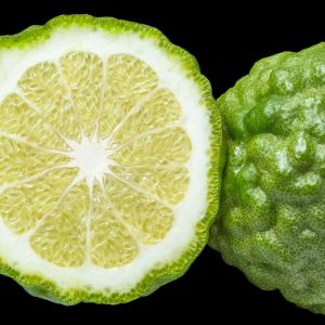 3071-thickbox_default