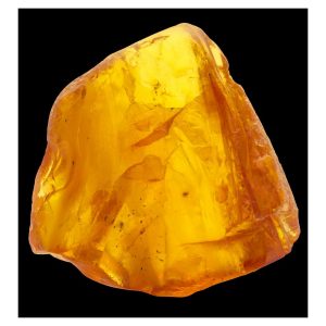 505-thickbox_default