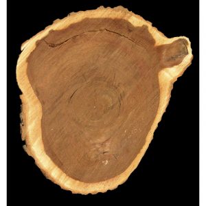 2826-thickbox_default